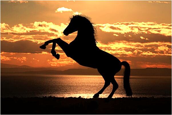 夢到有人送錢和火車票意味著什麼_周公解夢官網