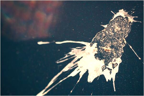 夢見挖機把山挖誇了意味著什麼_周公解夢官網