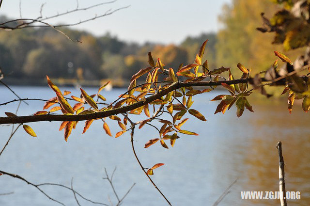 夢見和老爸打架_周公解夢夢到和老爸打架是什麼意思_做夢夢見和老爸打架好不好_周公解夢官網