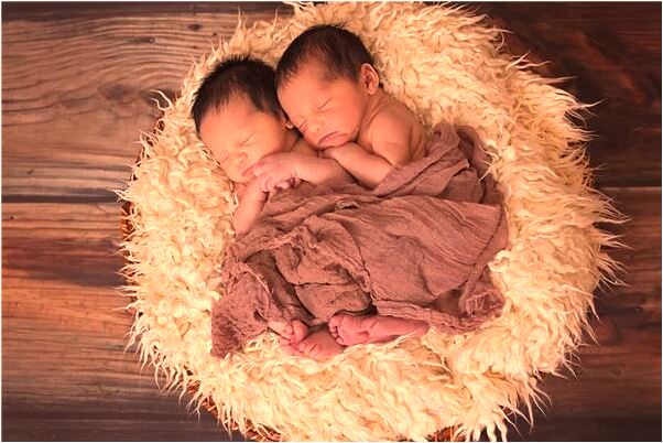 夢見魚被別人吃光了怎么回事_周公解夢官網