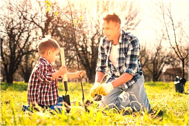 夢見可愛的小烏龜游泳代表著什麼？_周公解夢官網