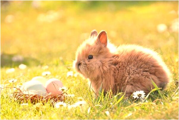 夢見男友抓蛇時被咬什麼寓意_周公解夢官網