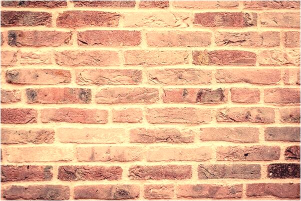 夢見蟑螂跑耳朵里好不好_周公解夢官網