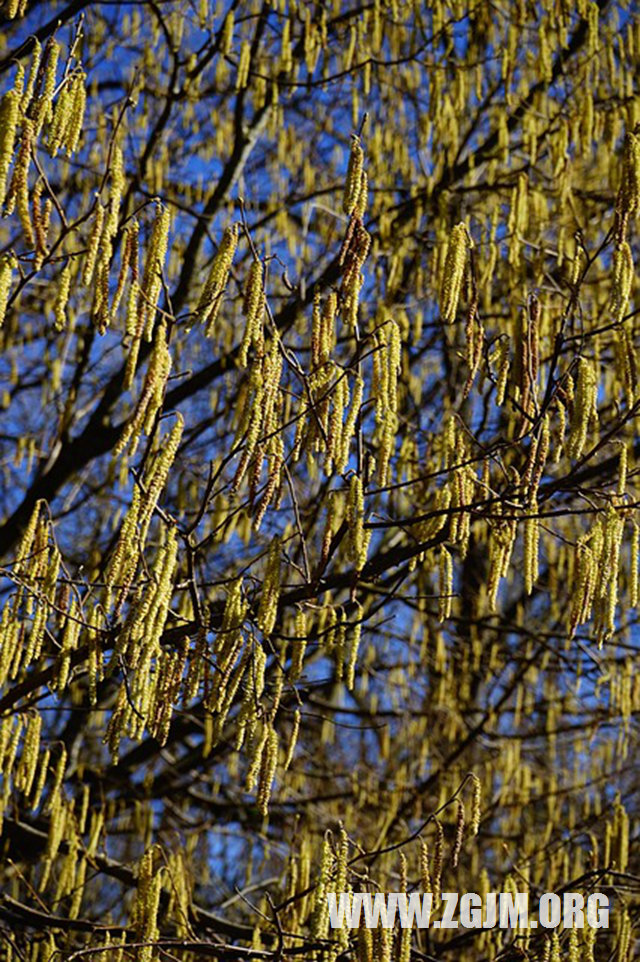 夢見自己開車撞人_周公解夢夢到自己開車撞人是什麼意思_做夢夢見自己開車撞人好不好_周公解夢官網