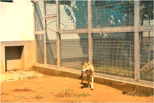 夢見我妹幫我洗內衣意味什麼_周公解夢官網