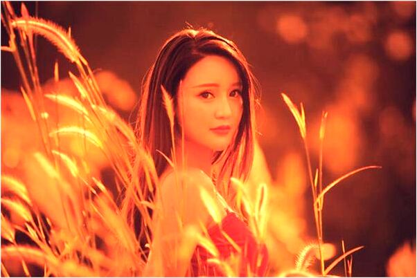 夢到了別人掉進糞池裡有什麼意思_周公解夢官網