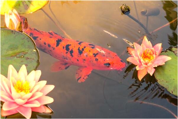 夢到請假期間去上班有什麼意義嗎_周公解夢官網