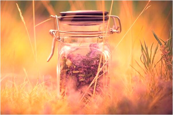 夢到了小麥長得旺代表什麼_周公解夢官網