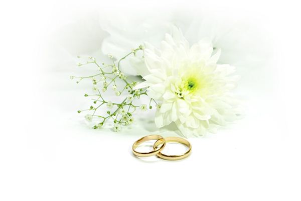 86屬虎一生有幾次婚姻_十二生肖