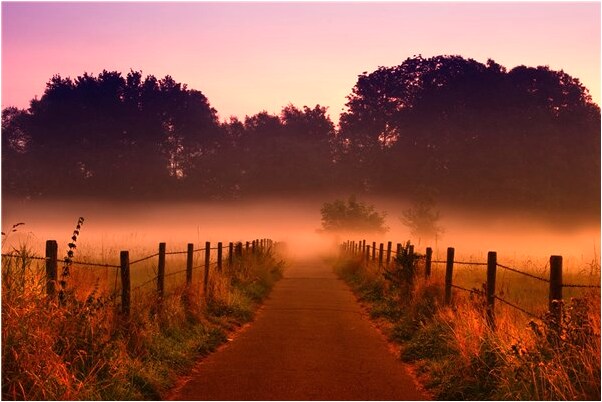 夢到了潘春燕意味著什麼_周公解夢官網