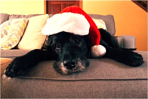 夢見師傅滿嘴血是凶兆還是吉兆_周公解夢官網