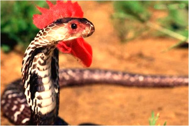 夢到了一個女人在等我是什麼意思？_周公解夢官網