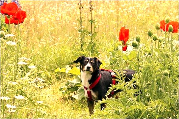 夢見和很多女人吃飯代表著什麼_周公解夢官網