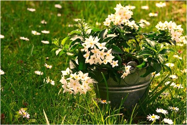 夢見桌上有鞋印什麼預兆_周公解夢官網