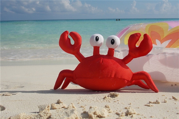 夢見螃蟹掉身上是怎么回事_周公解夢