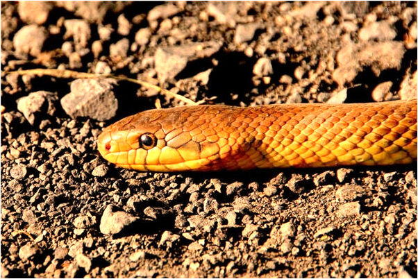 夢到了別人跟我說話什麼寓意_周公解夢官網