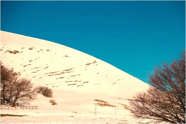 夢到行駛汽車會怎么樣_周公解夢官網