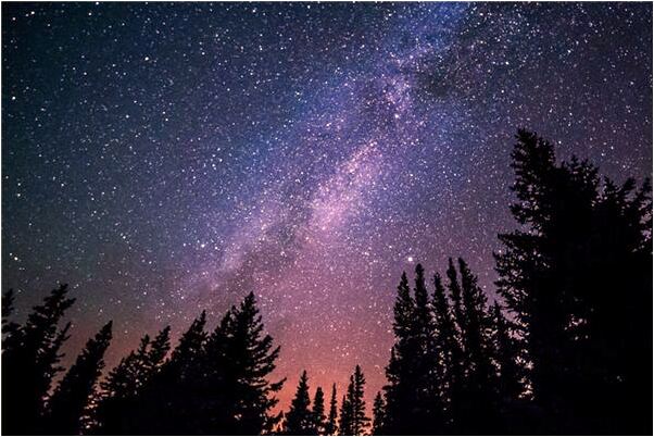 夢到媽把雞屎放嘴裡再吐出來有什麼意思嗎_周公解夢官網