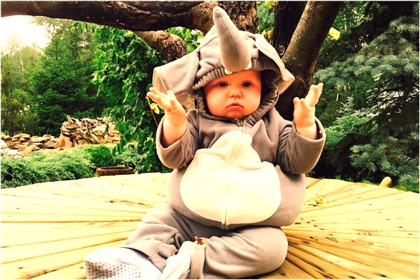 夢到了朋友交公司給我怎么說_周公解夢官網