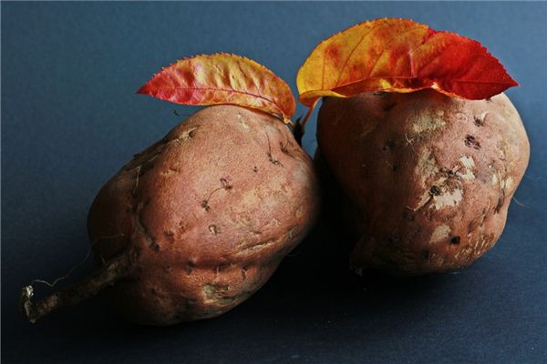 夢見自己吃熟紅薯_周公解夢