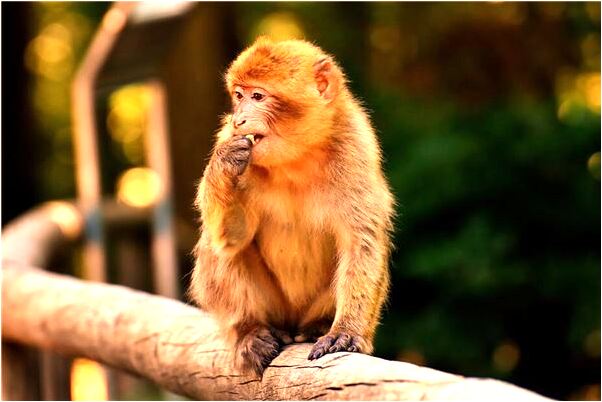 夢到了飯店撿錢怎么回事_周公解夢官網
