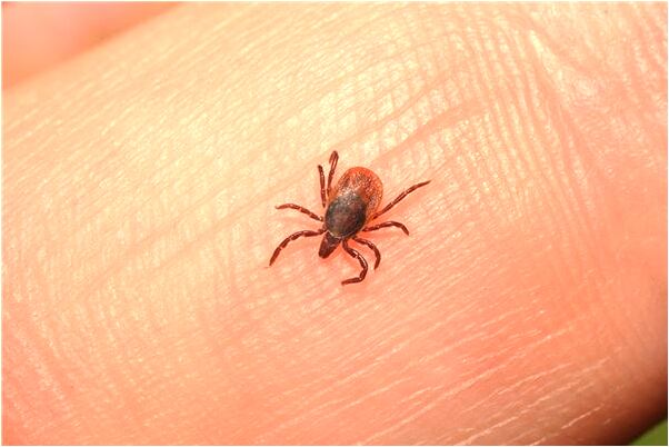 夢到了姨姨跟我說再見是好是壞_周公解夢官網