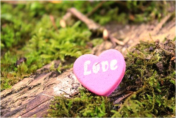 夢到姐在河淹死我大哭有什麼意思_周公解夢官網