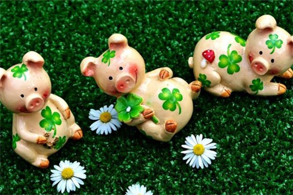 1983年2月屬豬的財運如何_十二生肖