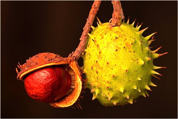 夢見殘疾人擋路是什麼徵兆_周公解夢官網