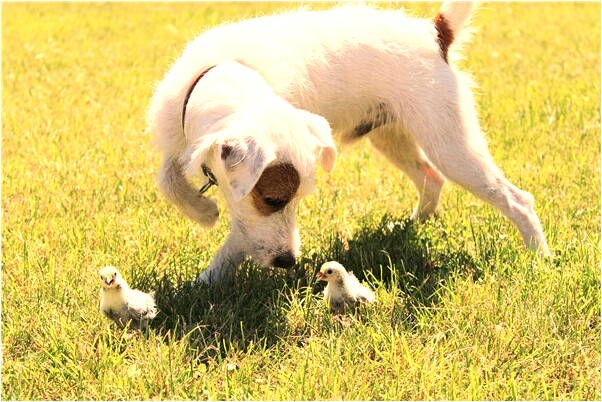 夢見女人抱著孩子代表著什麼_周公解夢官網