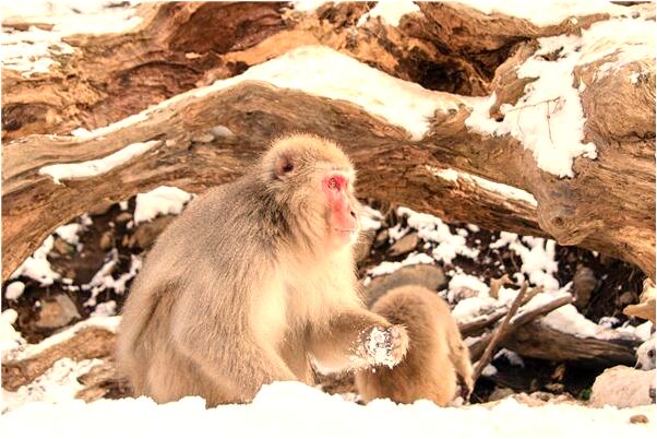 夢見地里出熱水有什麼意思嗎_周公解夢官網