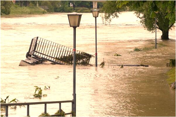 夢到了幫朋友鎖門裡有很多豬會有什麼預兆_周公解夢官網