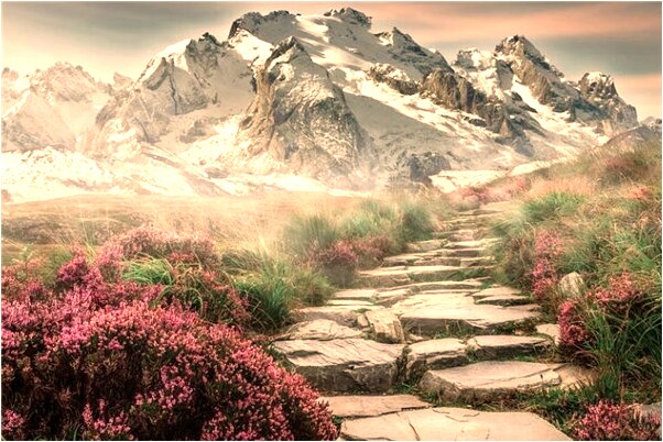 夢到了下雪蜥蜴青蛙預示了什麼_周公解夢官網