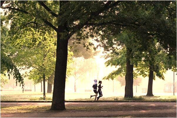 夢到了白貓和黑貓在床上是什麼意思_周公解夢官網