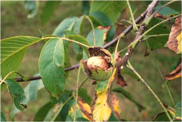 夢到仇人說話預示什麼_周公解夢官網