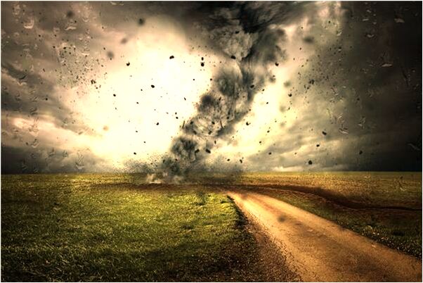 夢到了踩到別人怎么說_周公解夢官網