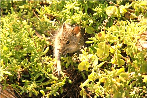 夢見自己總在和別人說事情代表著什麼？_周公解夢官網