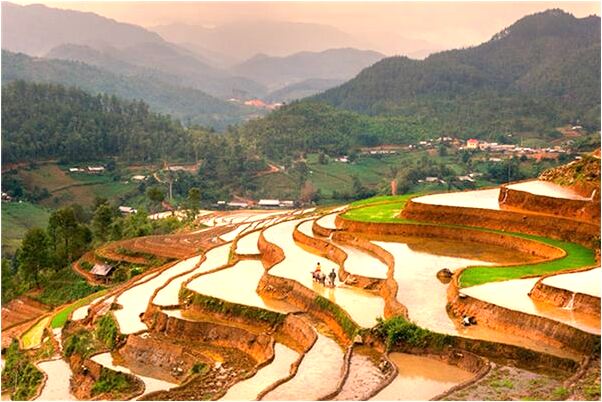 夢見死人是活著的是凶兆還是吉兆_周公解夢官網