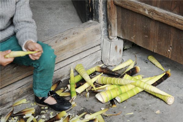 夢見挖筍是什麼意思_周公解夢