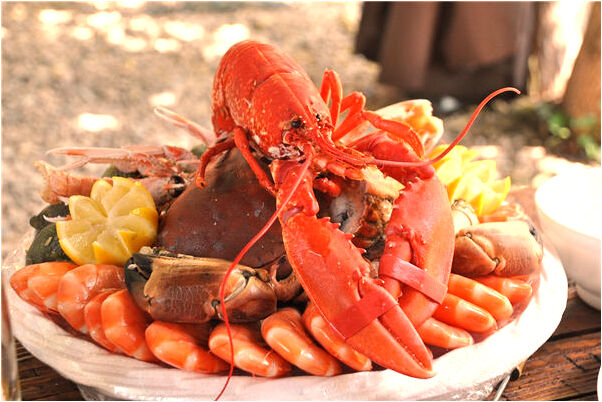 夢到很多大小園圈有什麼意思嗎_周公解夢官網