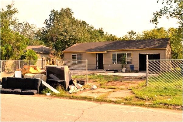 夢到自己和媽媽打死狗什麼寓意_周公解夢官網