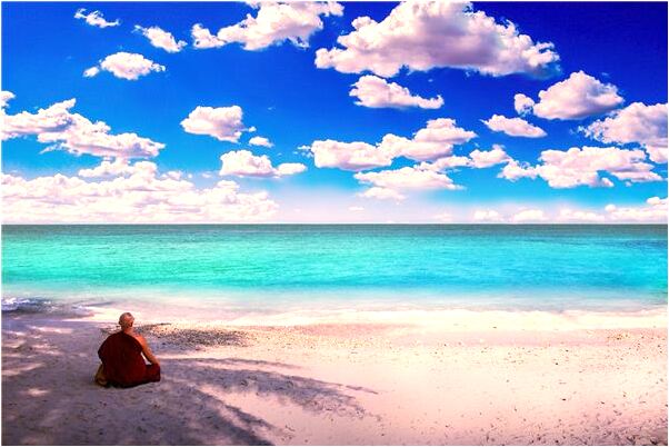 夢到了番茄煮白菜有什麼預示嗎_周公解夢官網