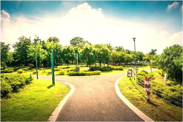 夢到前女友在雨里追著跑的預兆_周公解夢官網