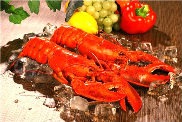 夢到了枯萎的桃花被開花結果預示什麼_周公解夢官網