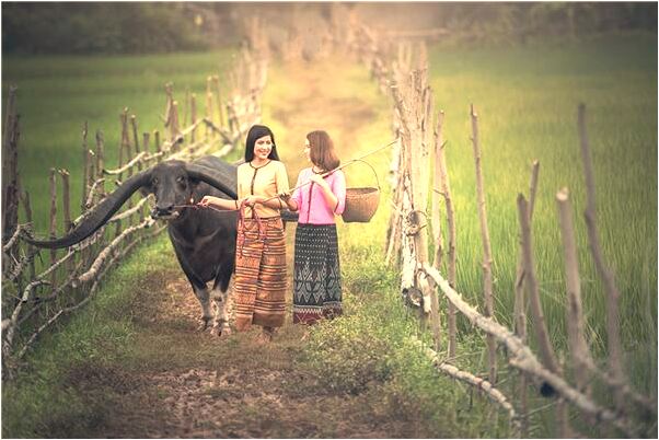 夢到了前男友送鞋是什麼意思？_周公解夢官網