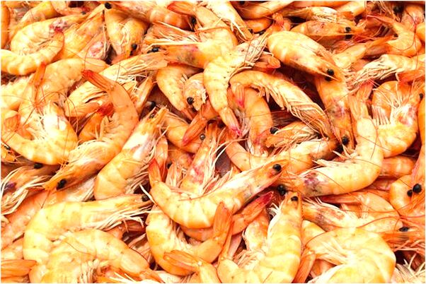 夢到了自己與別人打架預示了什麼_周公解夢官網