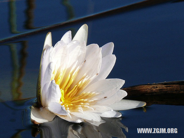 夢見路邊有鞋_周公解夢夢到路邊有鞋是什麼意思_做夢夢見路邊有鞋好不好_周公解夢官網