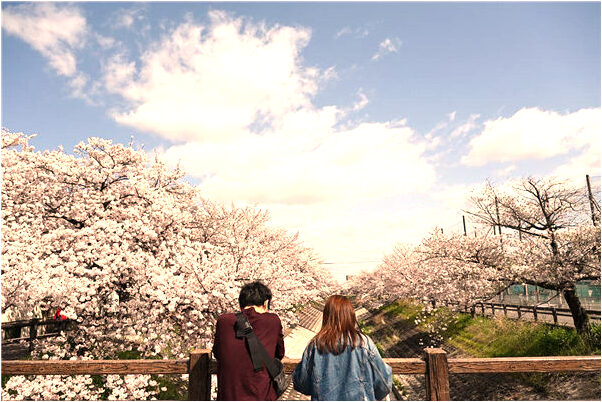 夢見方向盤脫落是凶兆還是吉兆_周公解夢官網