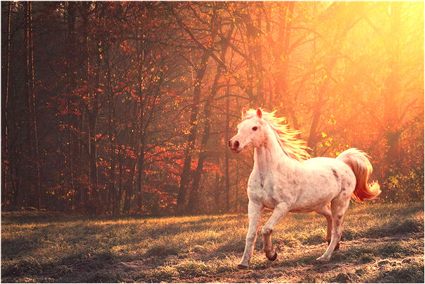 夢到老公朋友帶錢給我有什麼含義_周公解夢官網