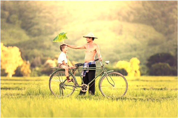 夢到了買桃孑是凶兆還是吉兆_周公解夢官網